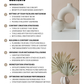 Faceless Instagram Guide