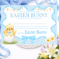 Personalised Easter Bunny Certificate Chick